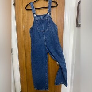 ZARA “The Jane” Denim Overalls